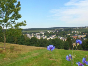 Ferienwohnung Musikwinkel Markneukirchen